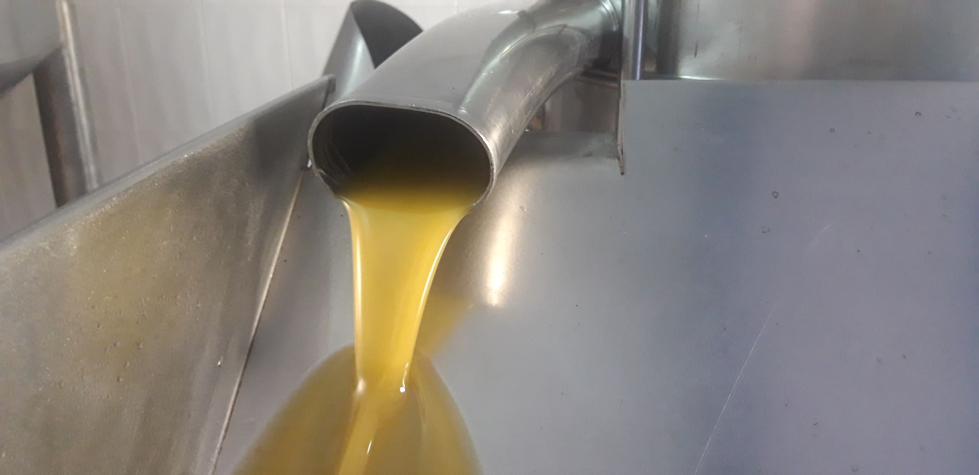 Aceite de Oliva Virgen Extra de Alpuoliva