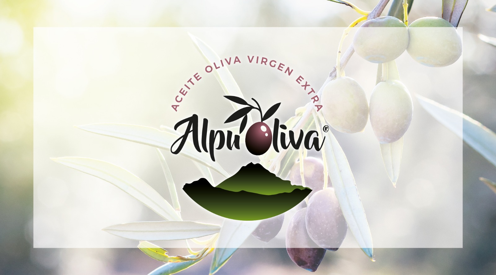 Logo con fondo Alpuoliva Aceite de oliva virgen extra